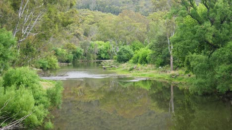 Blick-Flussabwärts-Auf-Den-Fluss-Mitta-Mitta-In-Der-Gemeinde-Mitta-Mitta,-Nordost-Victoria,-Australien