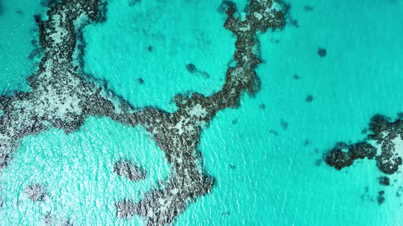 Drone view of corals and sea bed in blue shallow water in a lagoon on a sunny day in Maupiti, French Polynesia.
