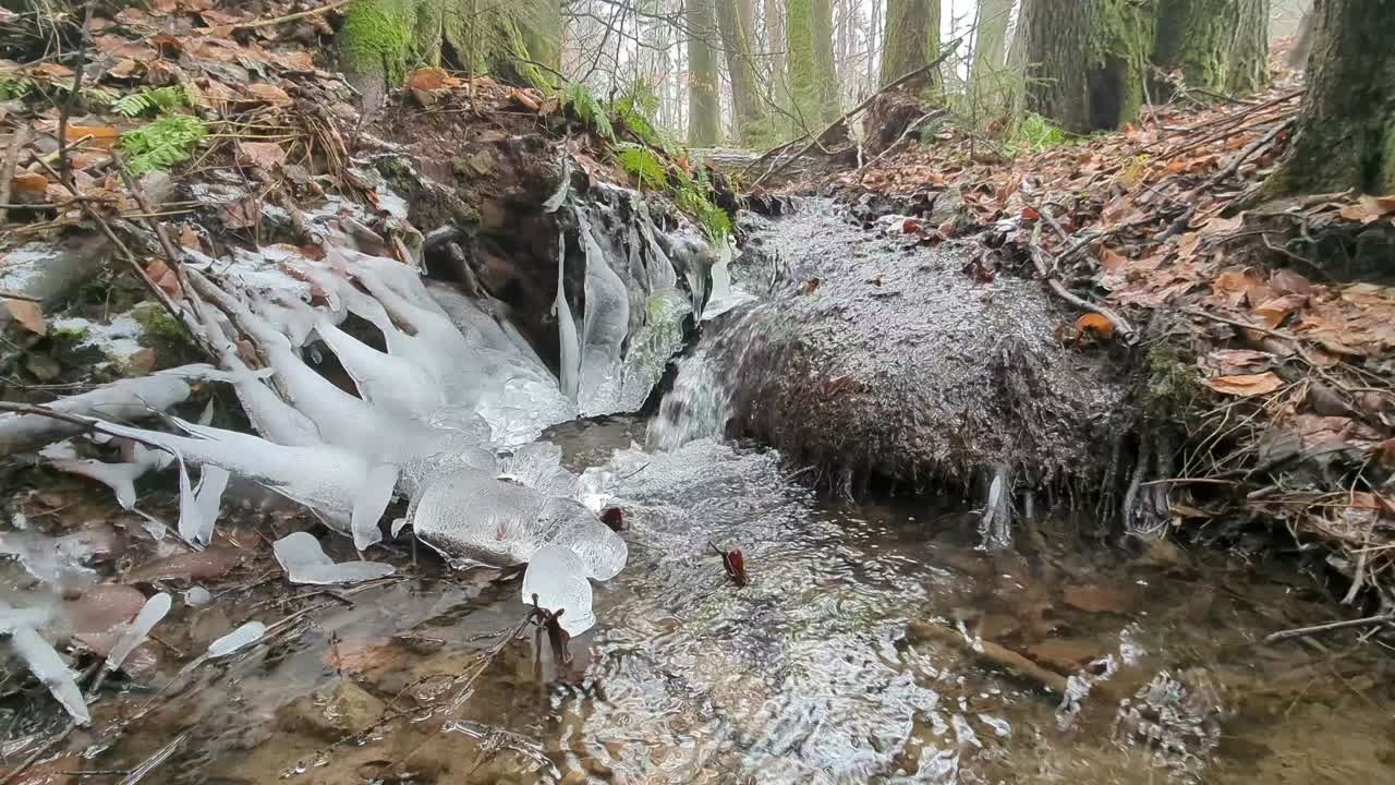 Primo piano di un ruscello nel bosco in inverno che scorre attraverso e intorno a ghiaccioli formatisi naturalmente.