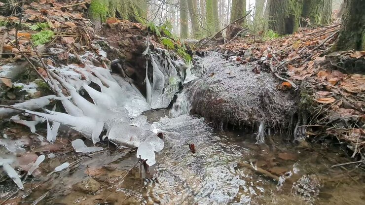 Close up of forest creek in winter flowing through and around naturally formed icicles