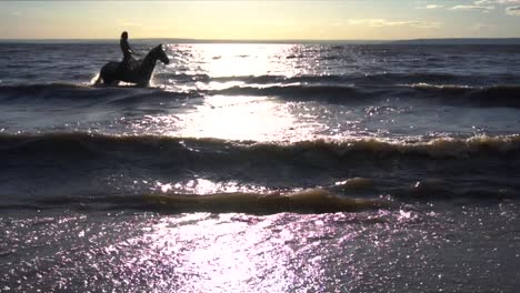 horse riding in the water at sunset