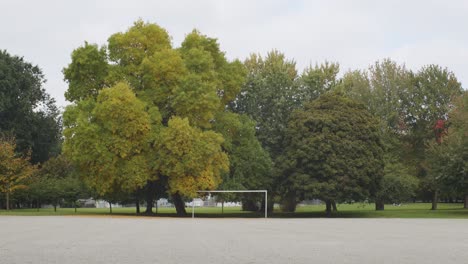 Campo-De-Fútbol-De-Grava-Con-Grandes-árboles-Detrás