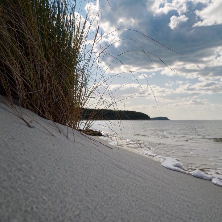 Gentle Waves Lapping Against Sandy Beach with Beach Grass