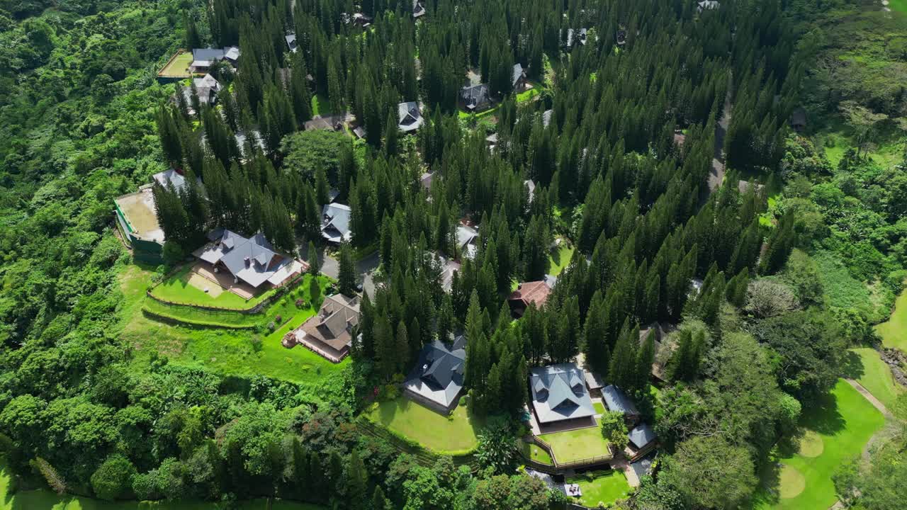 An overhead aerial of The Woodlands Tagaytay Highlands showing pine trees, winding roads, and hillside homes in Batangas, Philippines