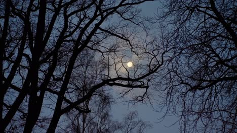 Der-Vollmond-Scheint-Durch-Ziehende-Wolken-Und-Schwarze-Kahle-Äste