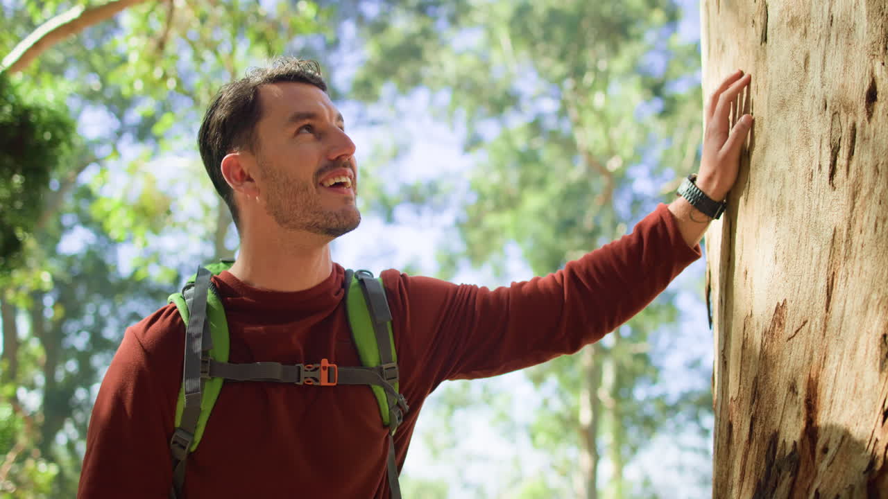 hombre caminando en el bosque