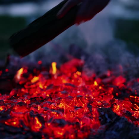burning firewood in the fireplace