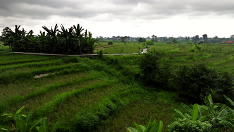 Countryside-scene-of-green-vulnerable-to-danger-of-approaching-storm