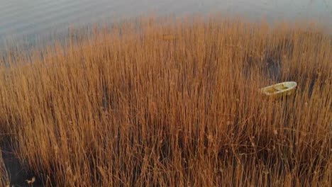 Duck-pond-with-a-fishing-boat-in-the-reeds,-aerial-tilt-up-view