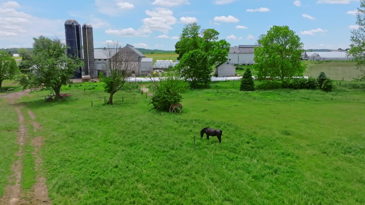 Aerial shot of a picturesque Amish farm with horses grazing, in rural Pennsylvania with green fields and blue sky atmospheric lighting captivating scenes vibrant colors rich detail