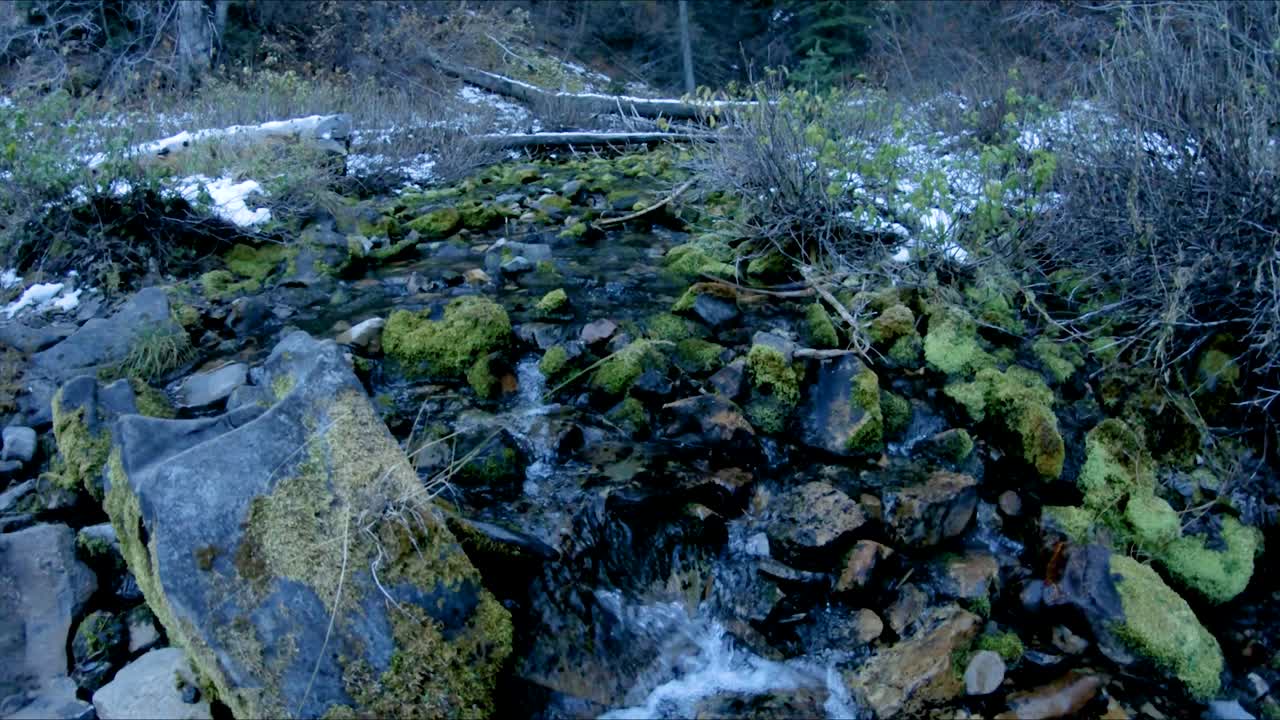 Slow motion of a beautiful mountain stream flowing over mossy rocks with logs and snow in the background