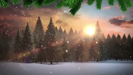 Grüne-Weihnachtszweige-über-Schnee,-Der-Auf-Mehrere-Bäume-In-Der-Winterlandschaft-Fällt