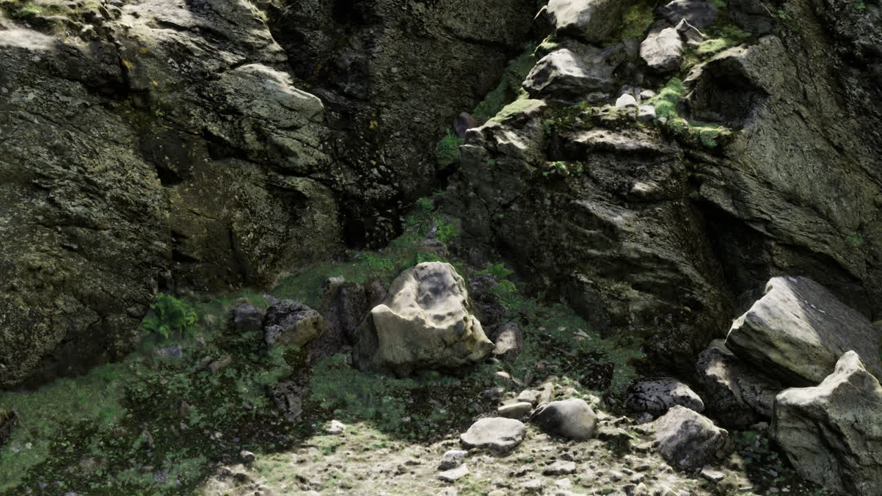 Scopri la bellezza nascosta di rocce aspre e vegetazione lussureggiante in riva al mare