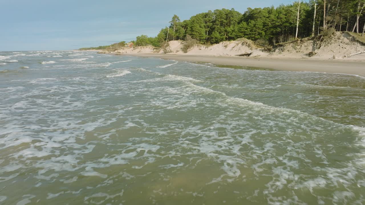 Aerial establishing view of Baltic sea coast, sunny day, white sand seashore dunes damaged by waves, pine tree forest, coastal erosion, climate changes, wide drone shot moving forward low over sea