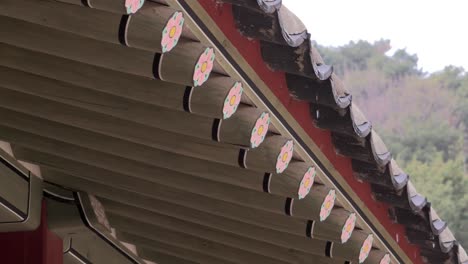 Korean-Palace-after-rain