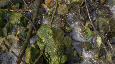 Small-stream-creating-bubbles-in-slow-motion