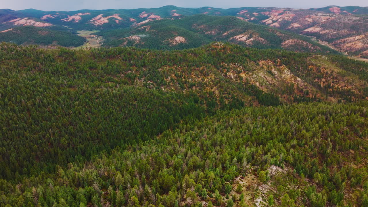 Abundant rocky landscape covered with pine trees. Beautiful scenic view of Utah canyons at daytime. Aerial perspective.