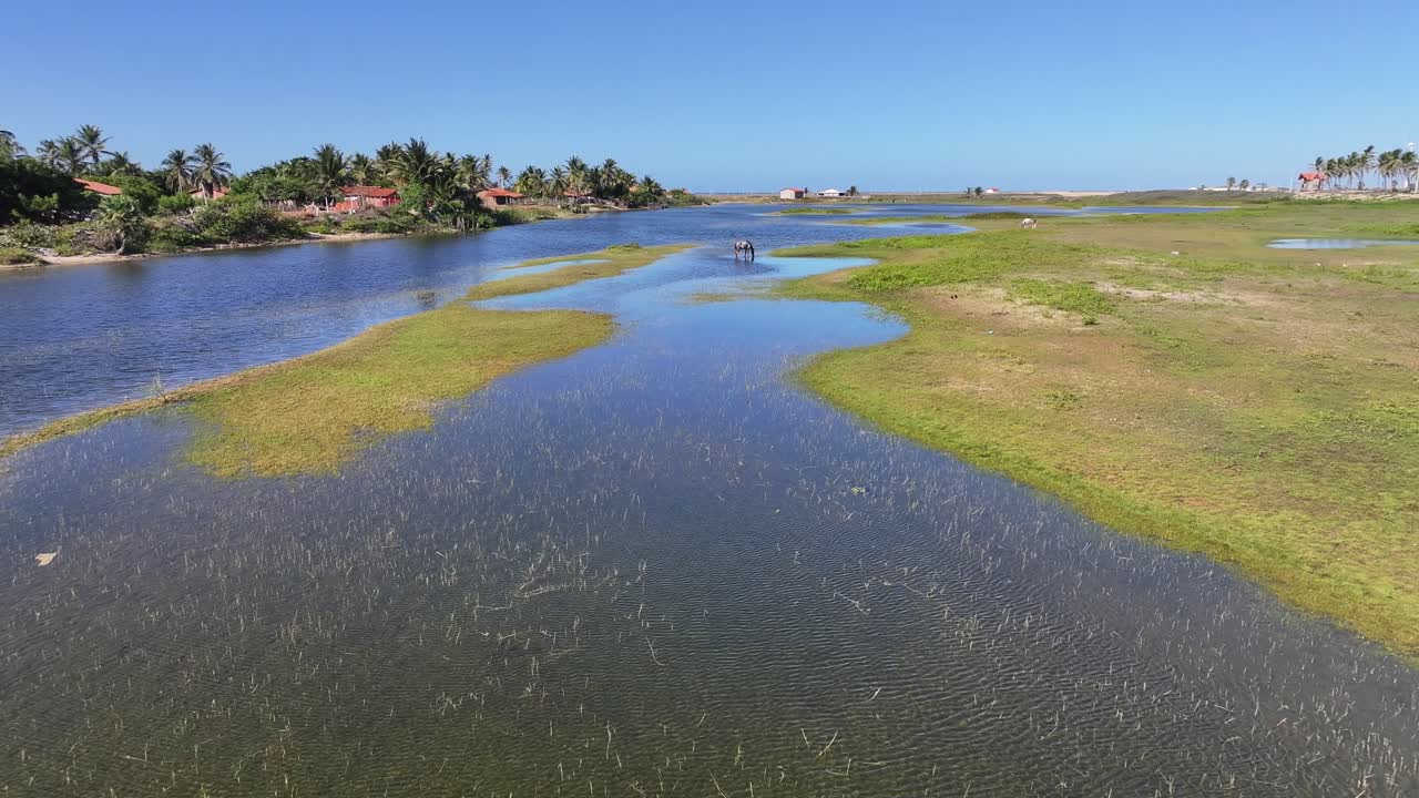 Orizzonte di mangrovie a Parnaíba nel Piauí, Brasile. Paesaggio del Delta del Parnaíba. Safari nel Delta delle Americhe. Palude deltizia.