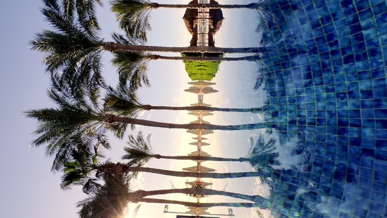 Vertical View Of Mirror Reflection Of Palm Trees In The Pool At The Luxury Beach Hotel Resort