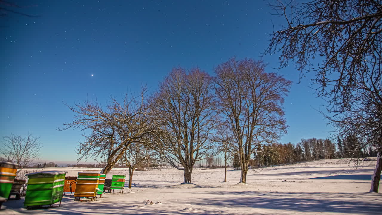눈 덮인 들판에서 꿀벌 양식 지역의 놀라운 겨울 시간 경과