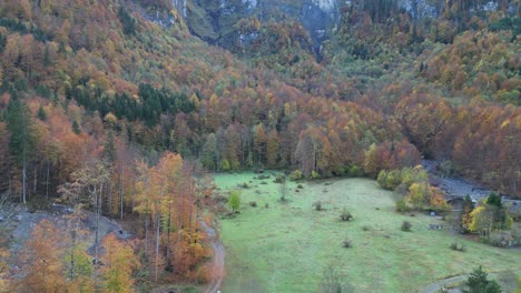 Vergrößern-Sie-Die-Aufnahme-Des-Tundra-Waldes-In-Der-Hochgebirgsregion-Europas