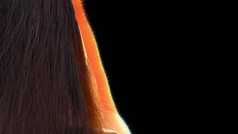 fluttering hair of a girl on black background with alpha channel.