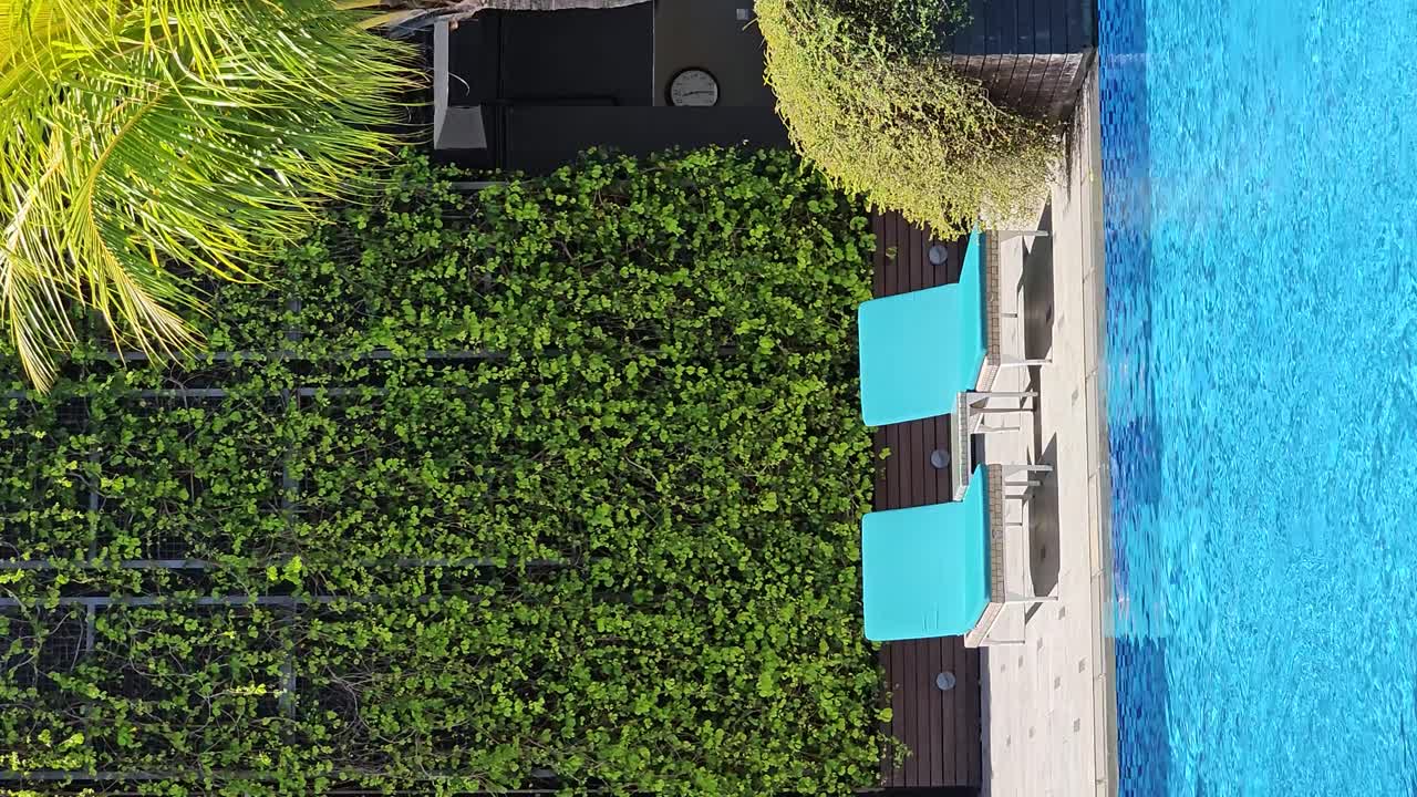 Vertical - Empty Lounge Chairs By The Poolside Against Vertical Foliage Wall In Kota Kinabalu, Malaysia