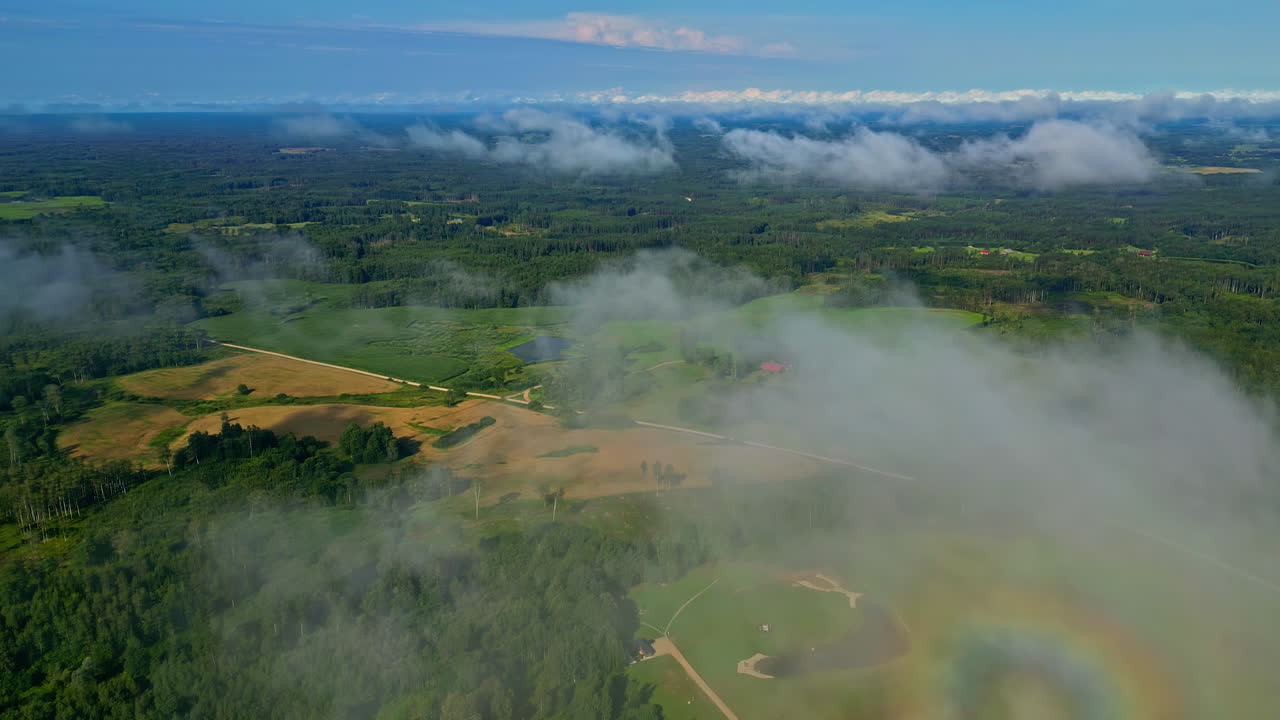Early morning aerial view of a foggy European forest