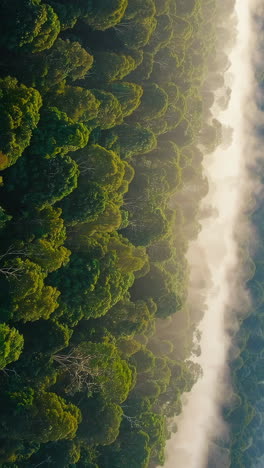 una vista aérea de una exuberante selva tropical