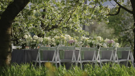 romantic open-air family dinner in blooming garden catering and decoration of lunch table