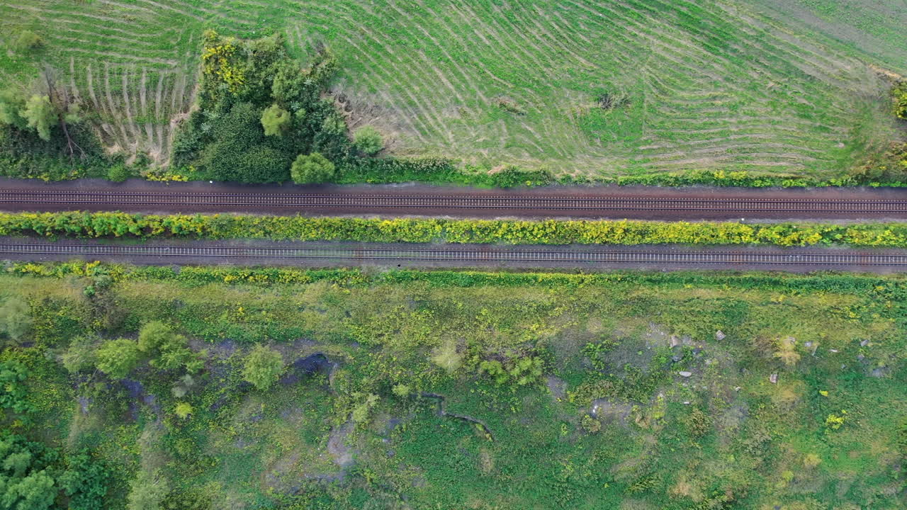 헝가리의 평지와 농장을 통과하는 평화로운 기차