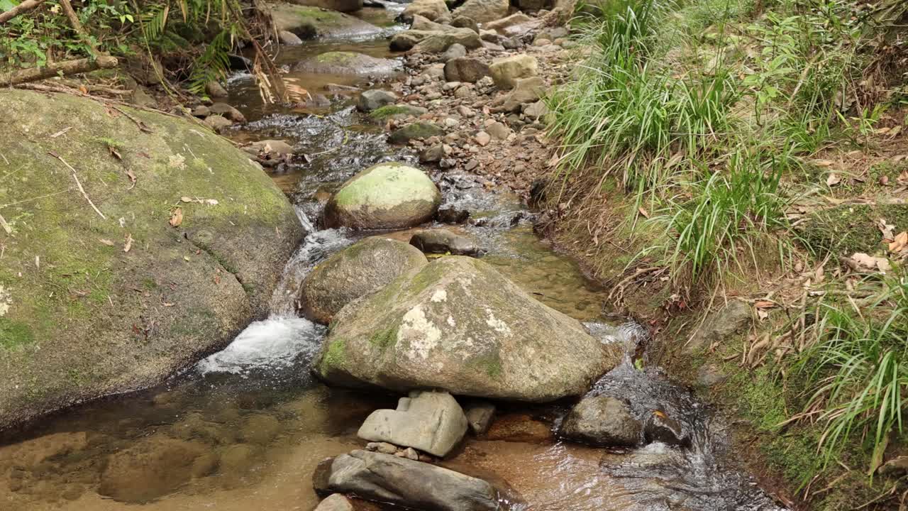 A serene stream flows over moss-covered rocks in a lush rainforest setting, captured with natural lighting and gentle camera movement