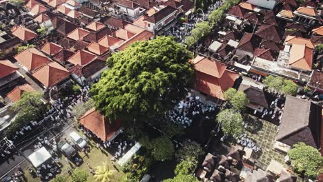 Imágenes-Aéreas-De-La-Ceremonia-Tradicional-Hindú-En-La-Isla-De-Bali,-Indonesia