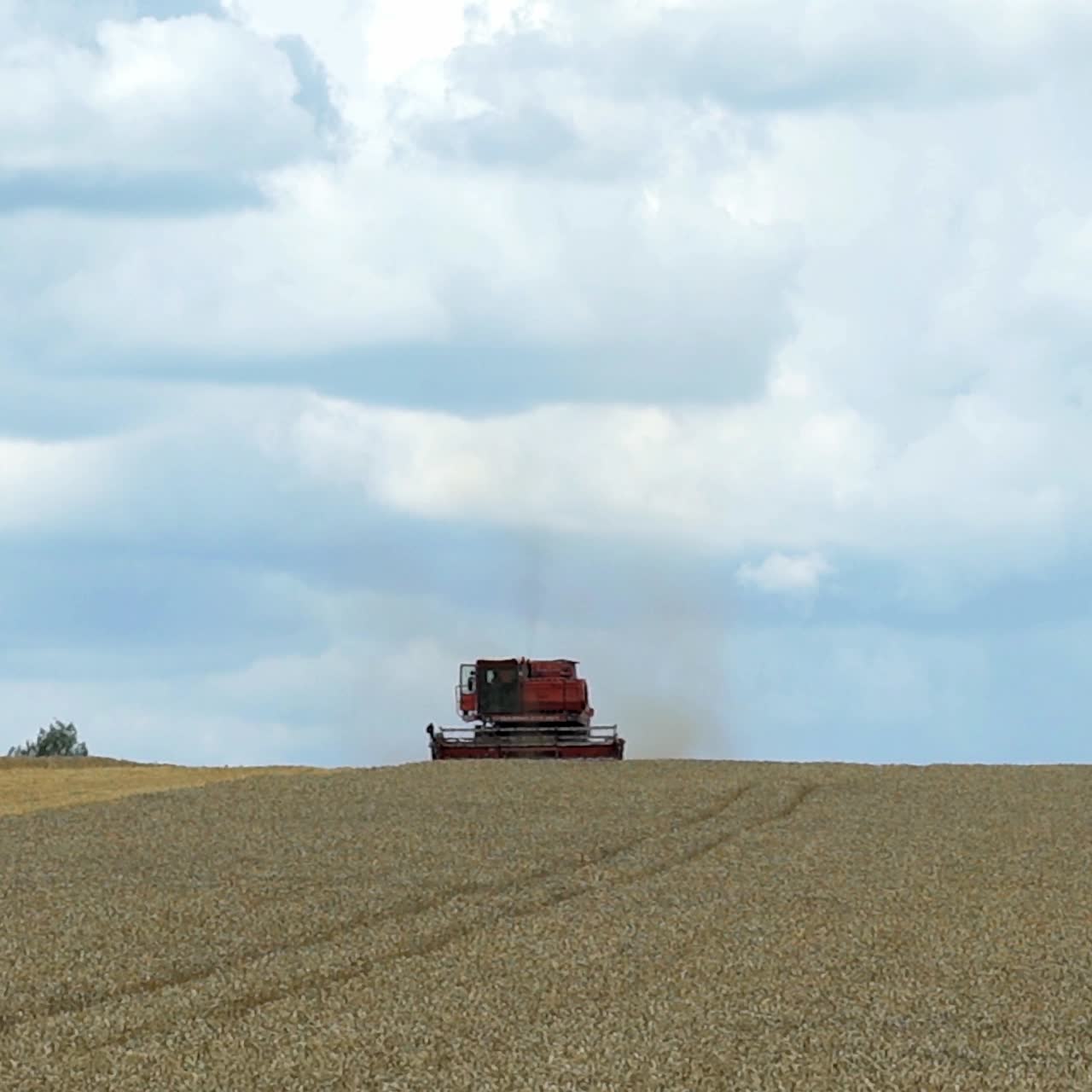 Combine harvester working on sunny summer day. Harvest time. Agricultural sector