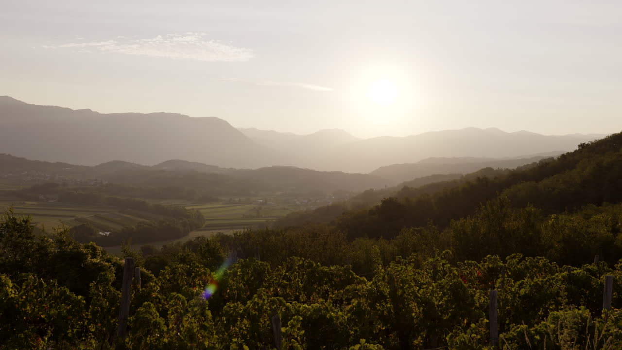 Sunset over a valley with vineyards