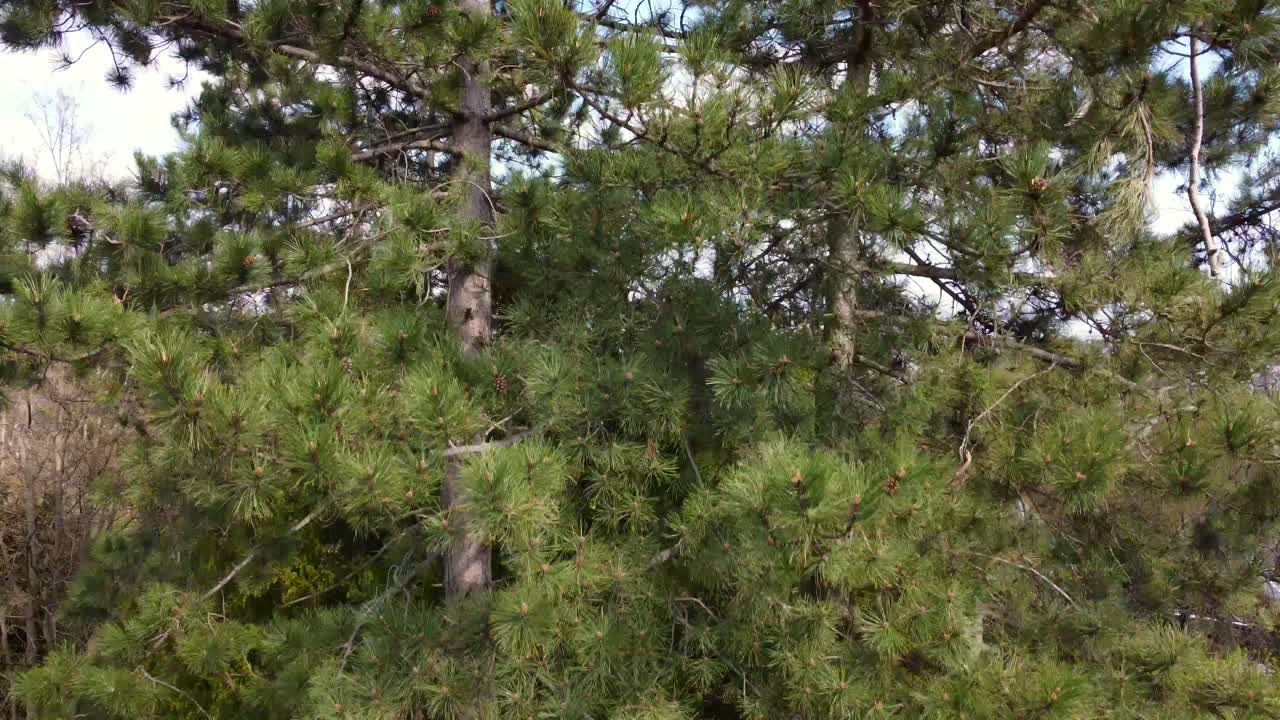 amas de casa desesperadas zona de un pequeño pueblo mal ventilado