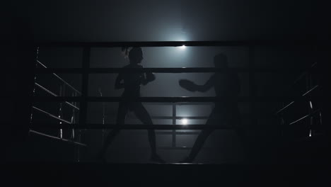 silhouettes of boxers training in a dimly lit ring