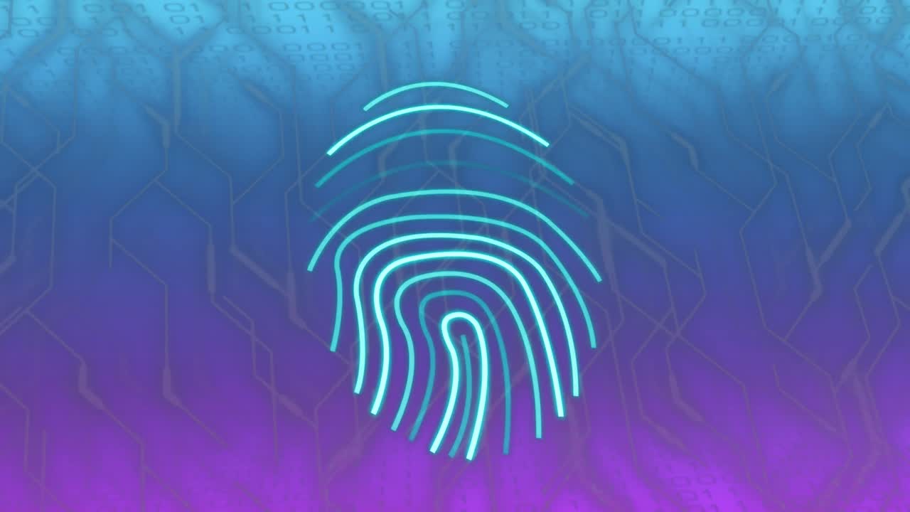 Animation of connections and data processing over circuit board and biometric fingerprint