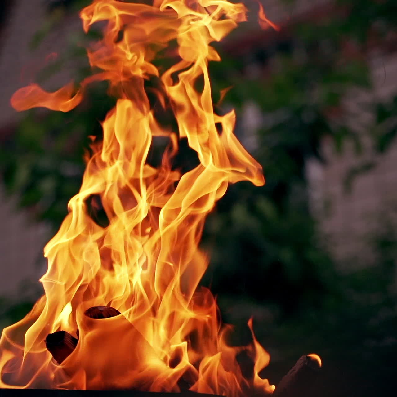 Smoldered logs burned in vivid fire on the house background. Fantastic orange and yellow flame of campfire outdoors. Close-up.