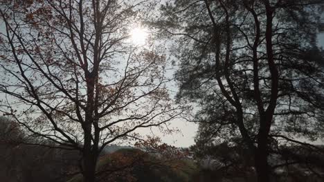 Autumn-sun-light-shinigh-through-the-tress-in-Autumn-Fall-2019,-Lithuania,-Kernave