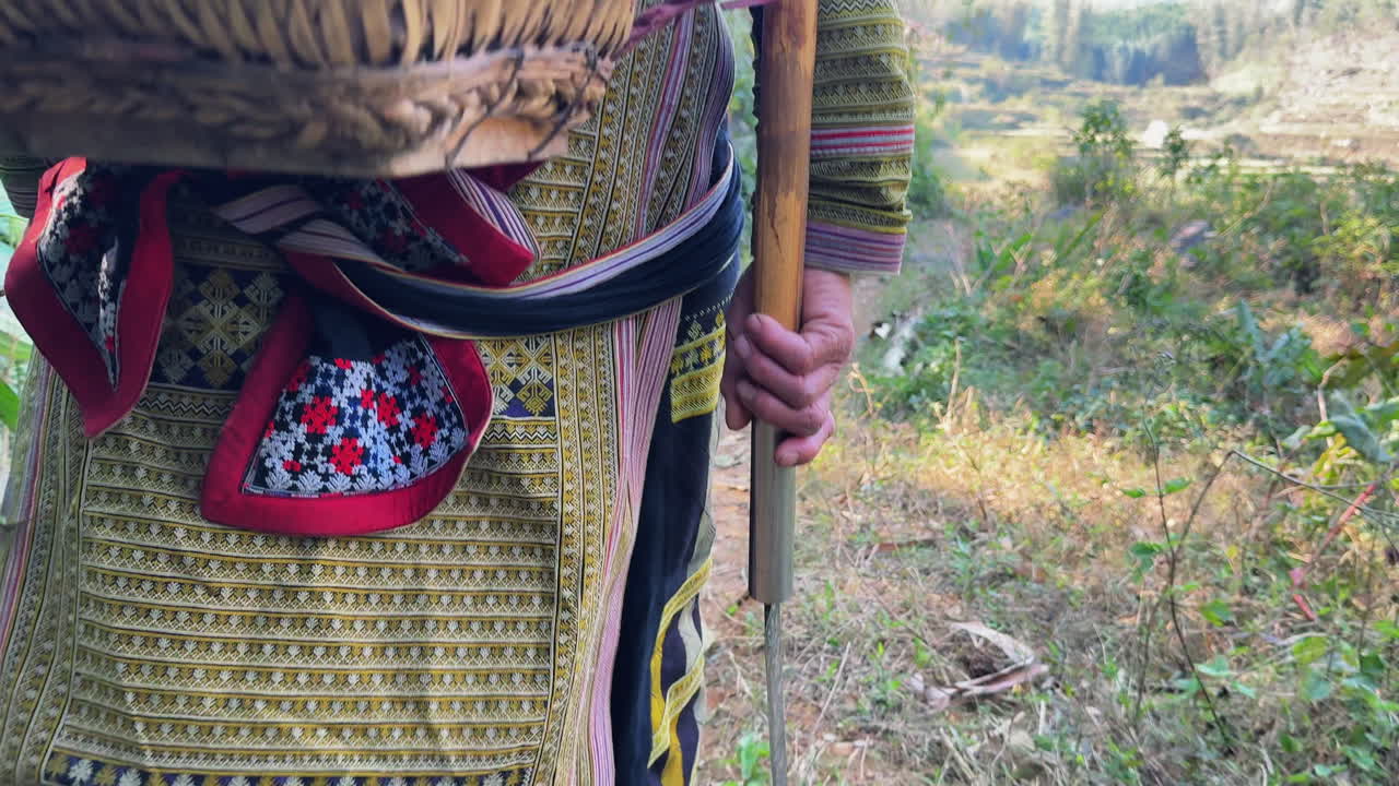 Tracking shot of a Black Dao person walking through vegetation in traditional clothing, holding a harvesting tool.