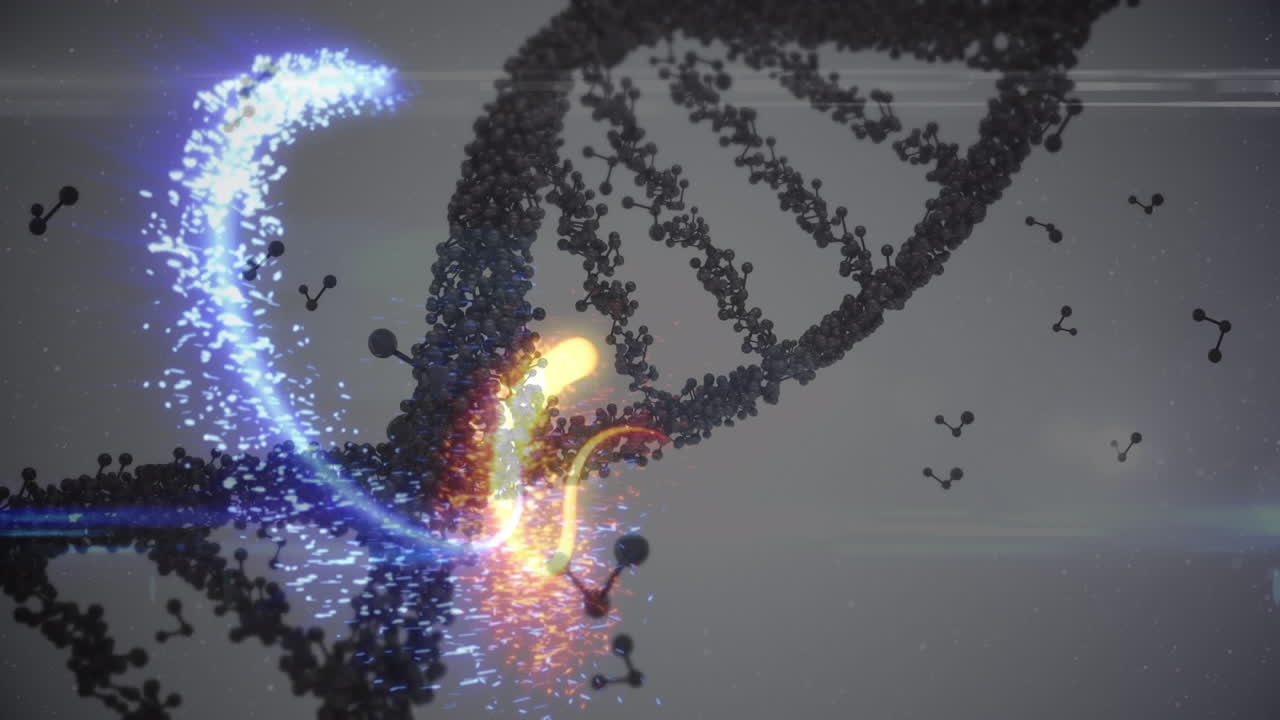 크리스마스 장식물 위에 보블로 크리스마스 인사 의 애니메이션