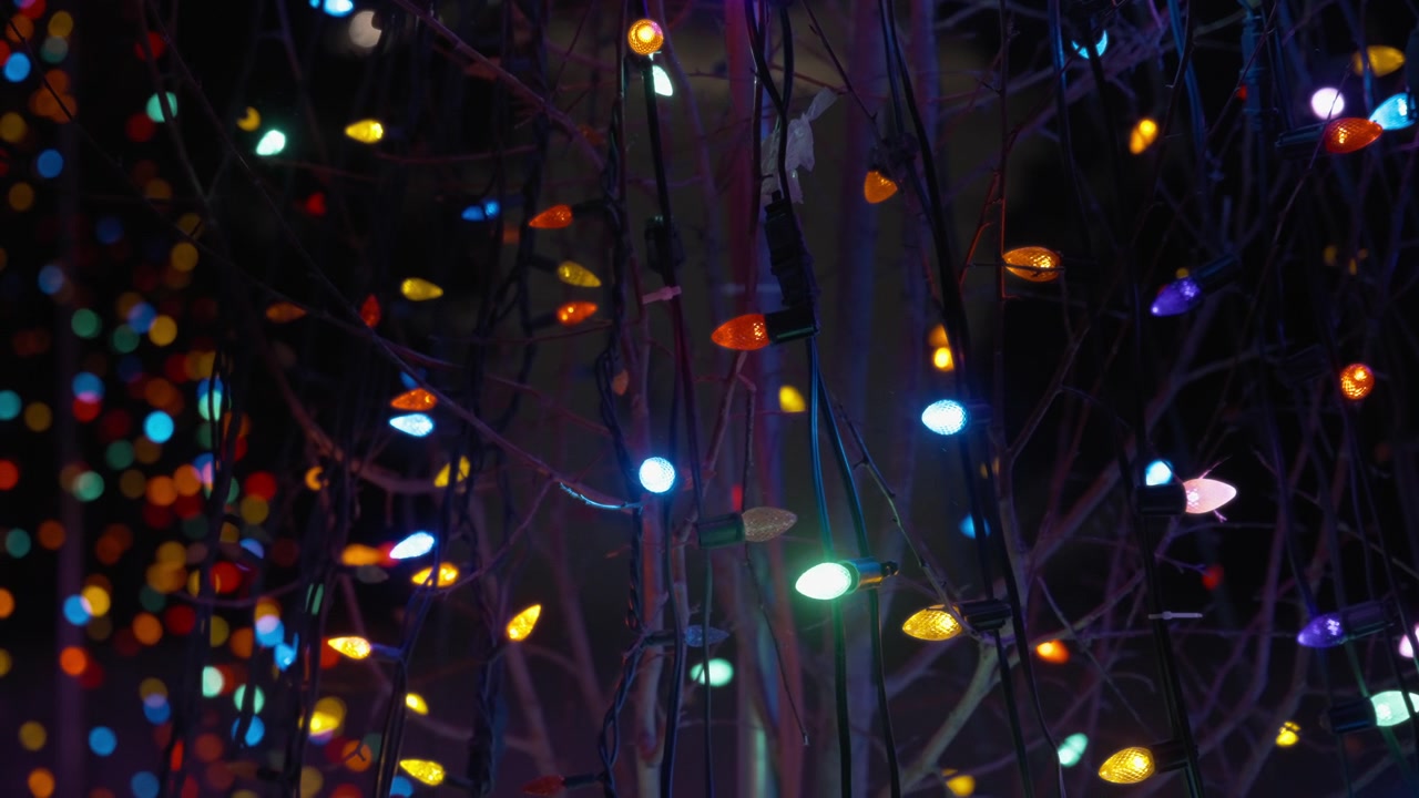 Colorful garland lights at night