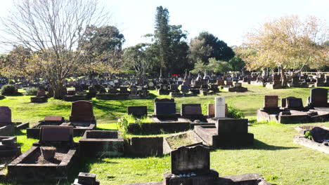 Disparo-De-Un-Dron-Volando-Bajo-Pasando-Por-Lápidas-Y-Tumbas-En-Un-Cementerio-En-Australia