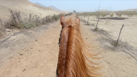 Reiten-Pov-Durch-Trockenen,-Verlassenen-Ackerlandweg