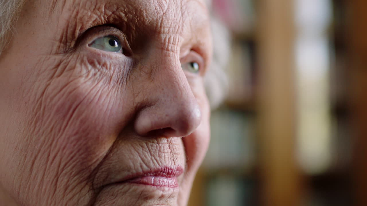 conocimiento, ojos y arrugas del rostro de una mujer anciana