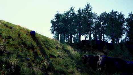 Sunlight illuminating a vibrant hillside covered in wildflowers and trees