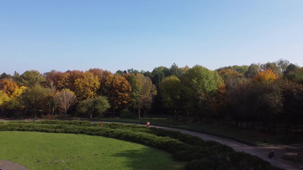 Luftaufnahme einer Drohne, die über den Park fliegt