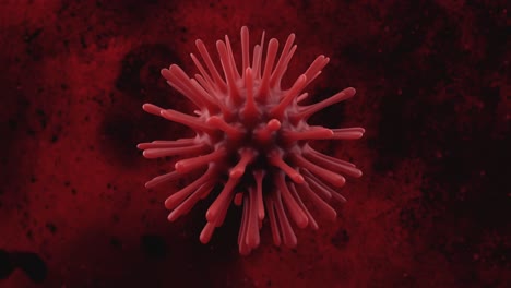 3d model of a virus