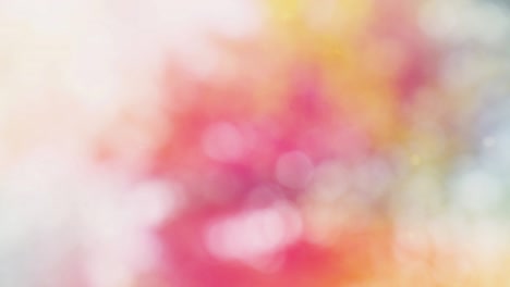 Abstract forest bokeh motion background
